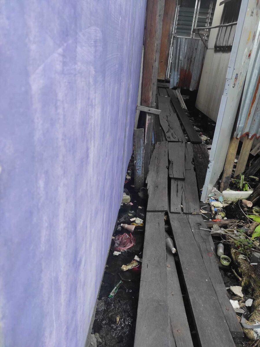 Ale d
