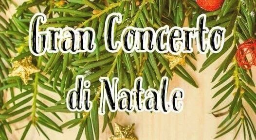 gran-concerto-sx-pr20
 22.jpg