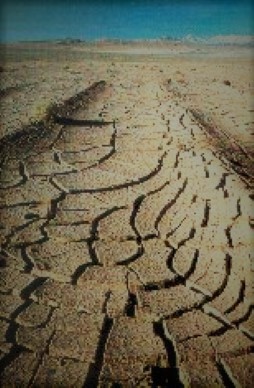 terra deserto