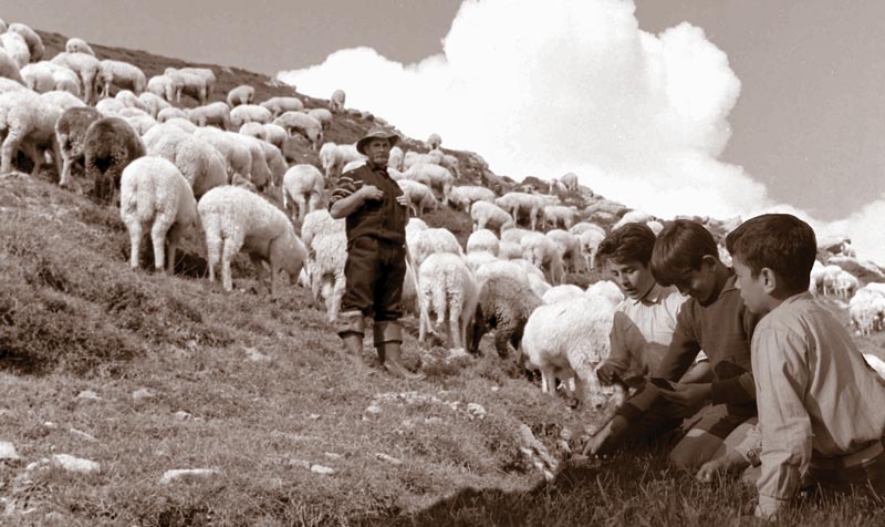 al pastori e apostolini