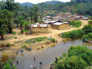 congo 332