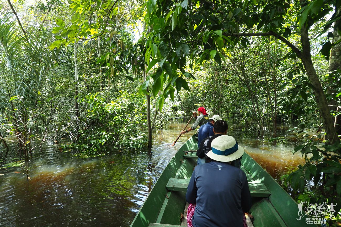 adoldo zon amazzonia