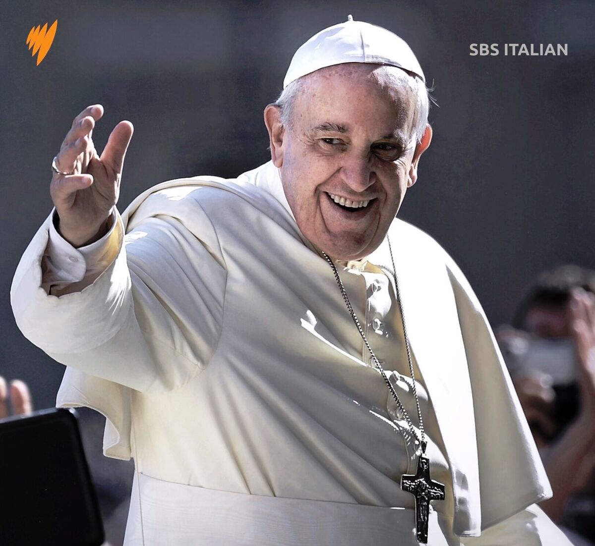 papafrancesco 2